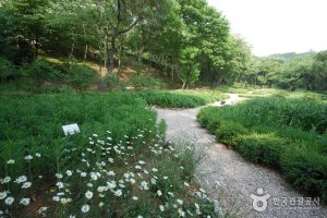 首爾大冠嶽樹木園