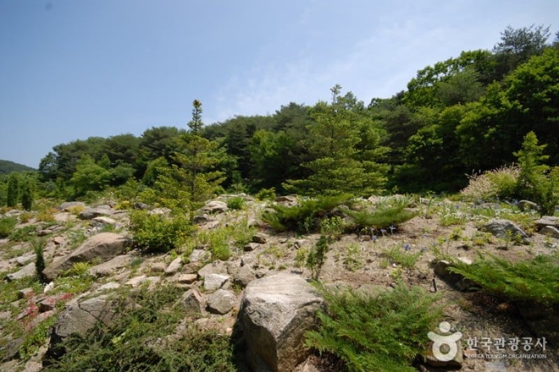 平康植物園