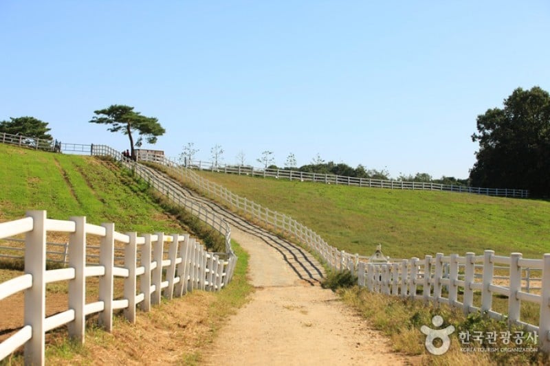 元堂種馬牧場