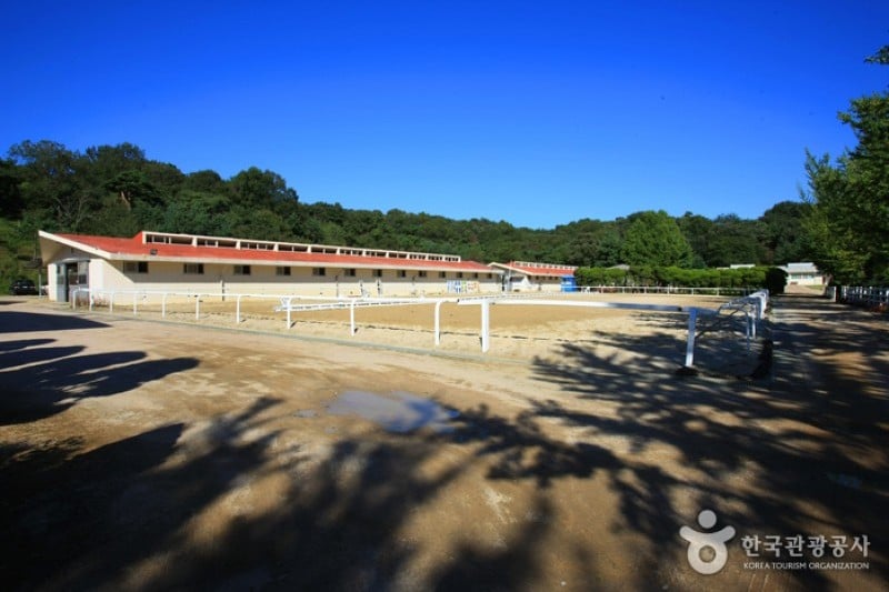 元堂種馬牧場