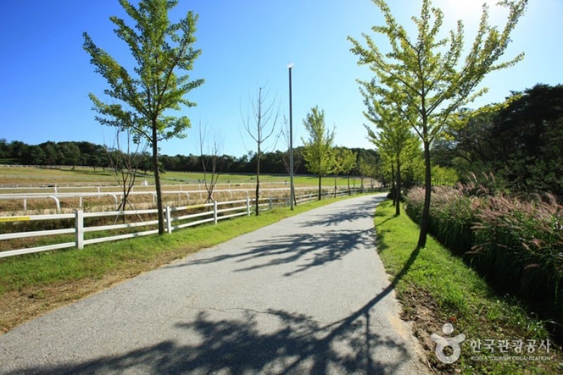 元堂種馬牧場