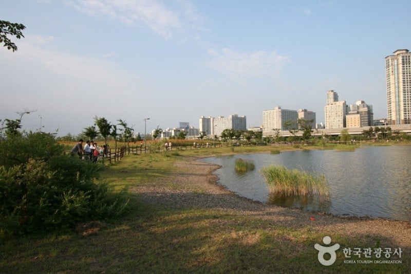 上洞湖水公園 (4/6)