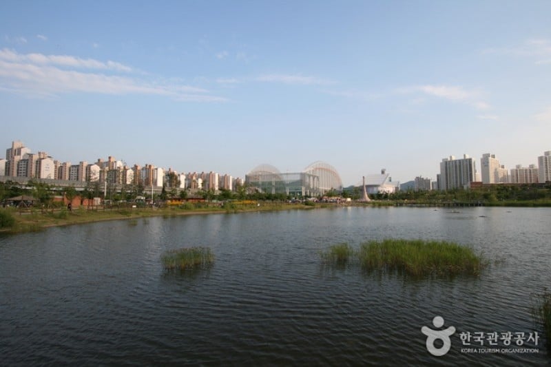 上洞湖水公園 (6/6)