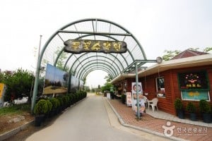 楊平野花樹木園