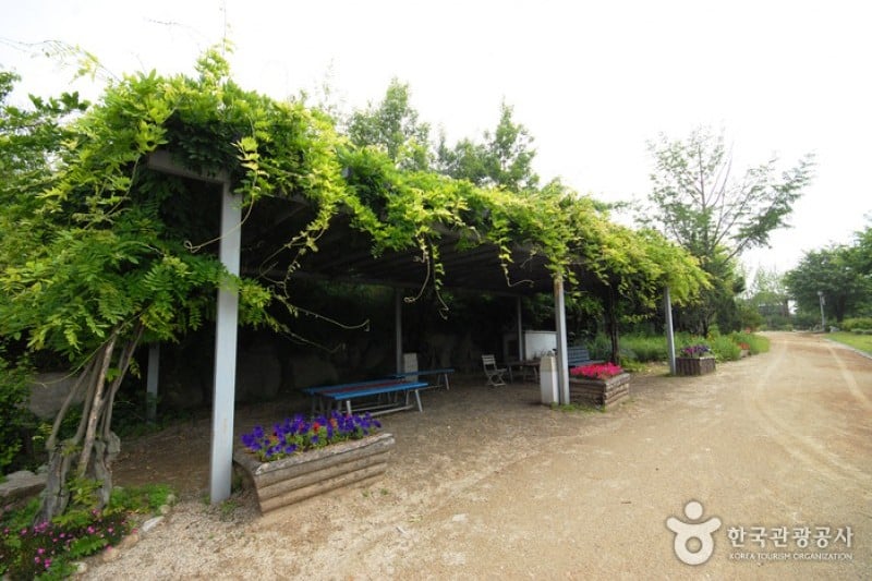 楊平野花樹木園 (9/20)