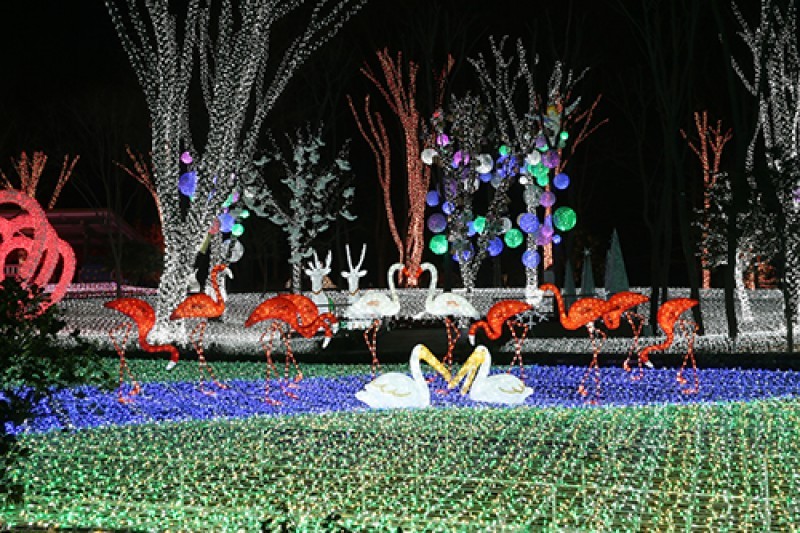 安山星光村Photo land燈節