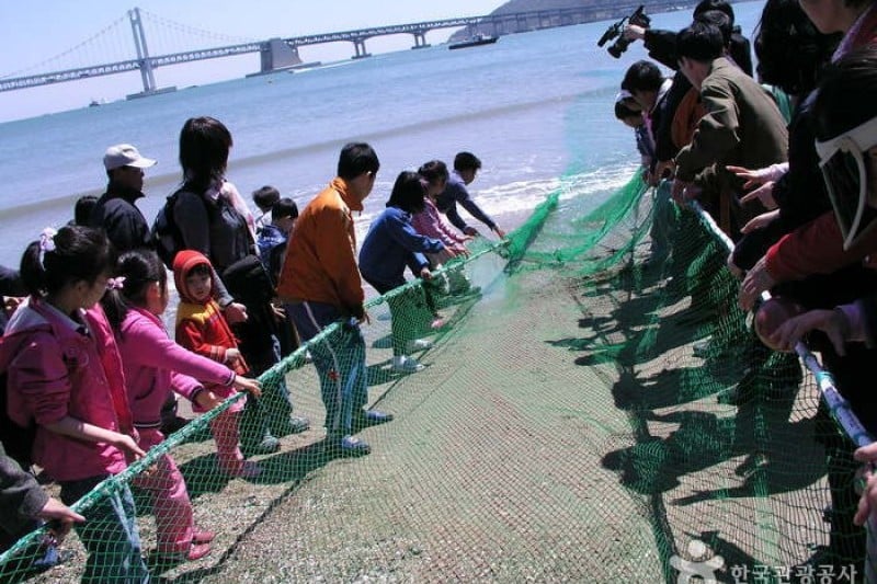 廣安裡漁坊節