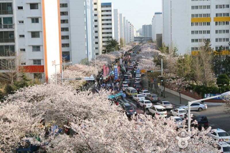 廣安裡漁坊節