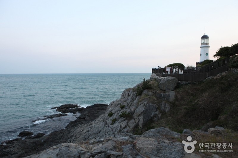 海雲臺冬柏島 (1/24)
