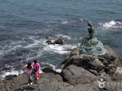 海雲臺冬柏島