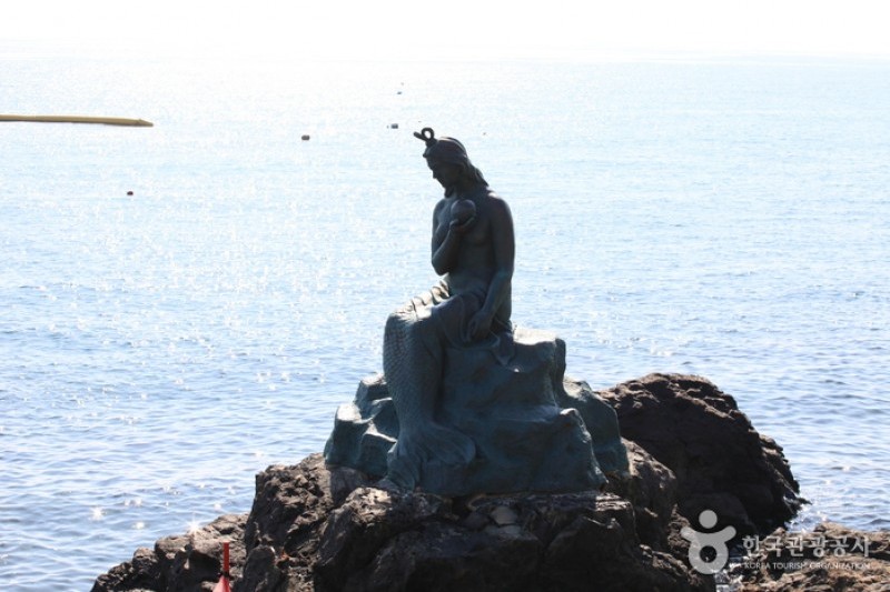 海雲臺冬柏島 (15/24)