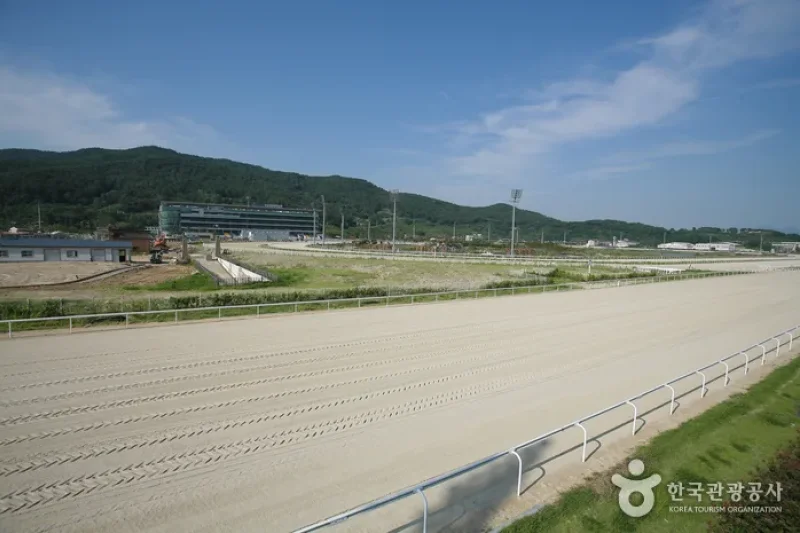 釜山慶南Let's run Park (3/5)