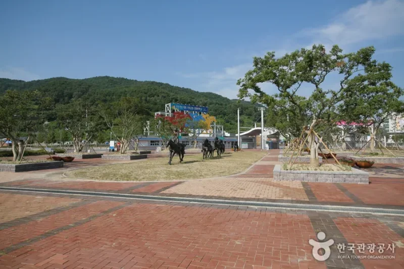 釜山慶南Let's run Park (4/5)