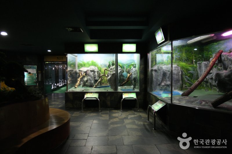 釜山海洋自然史博物館