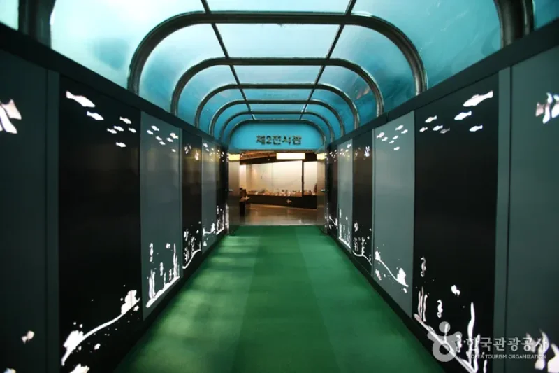 釜山海洋自然史博物館