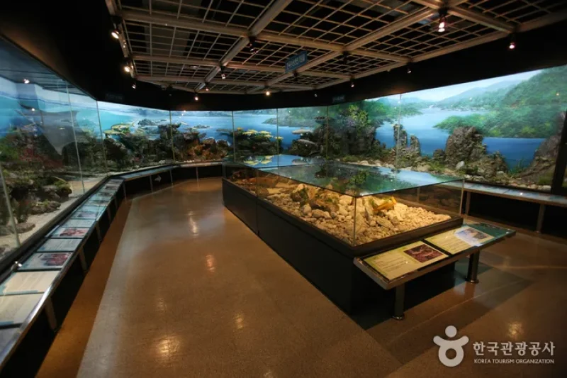 釜山海洋自然史博物館