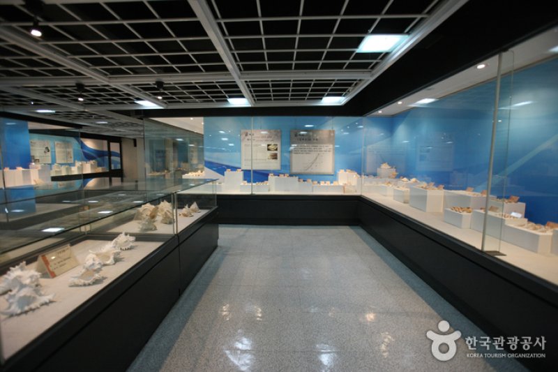 釜山海洋自然史博物館
