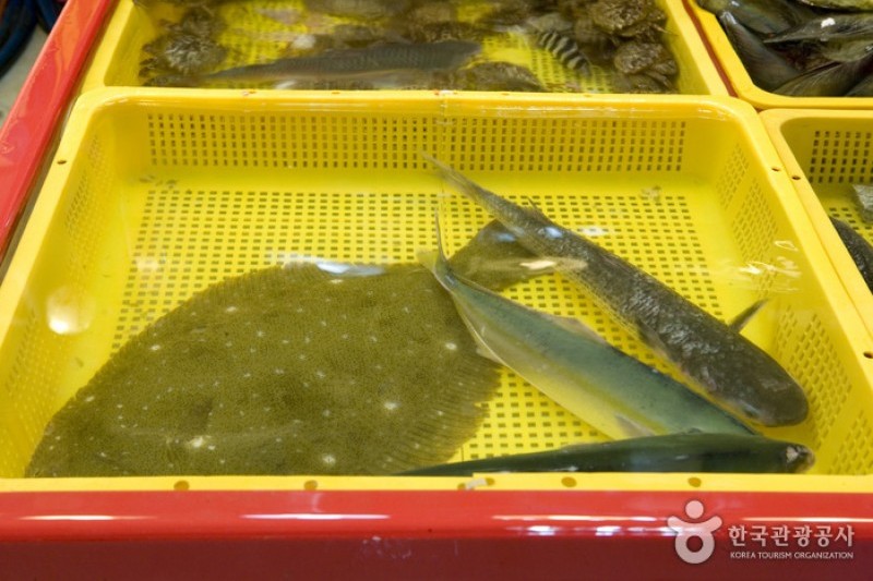 札嘎其市場活魚部 (2/8)