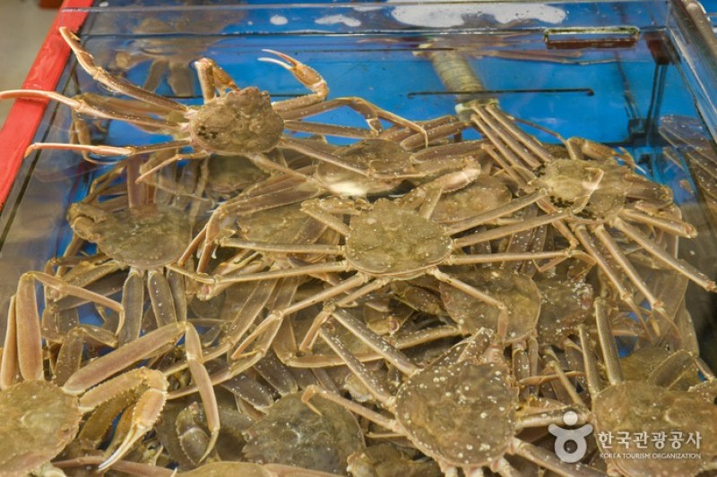 札嘎其市場活魚部 (3/8)