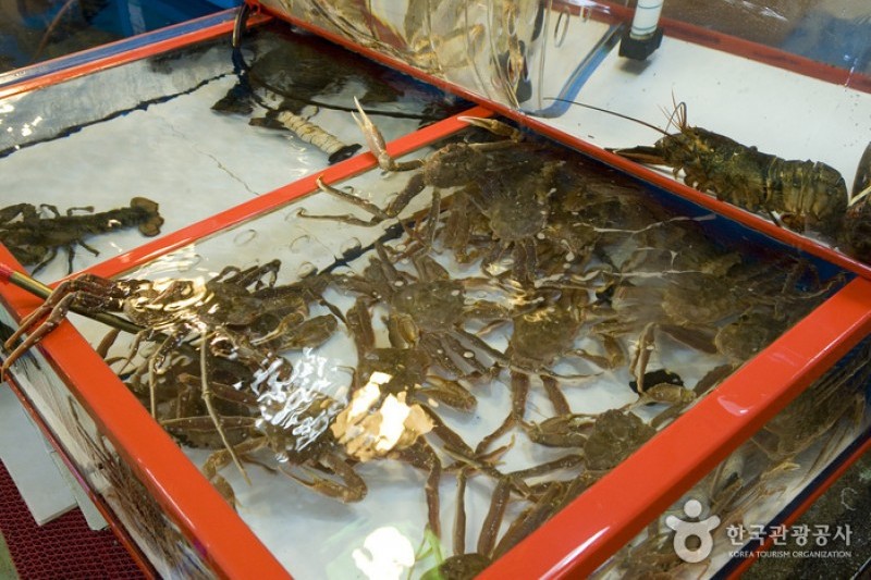 札嘎其市場活魚部 (5/8)