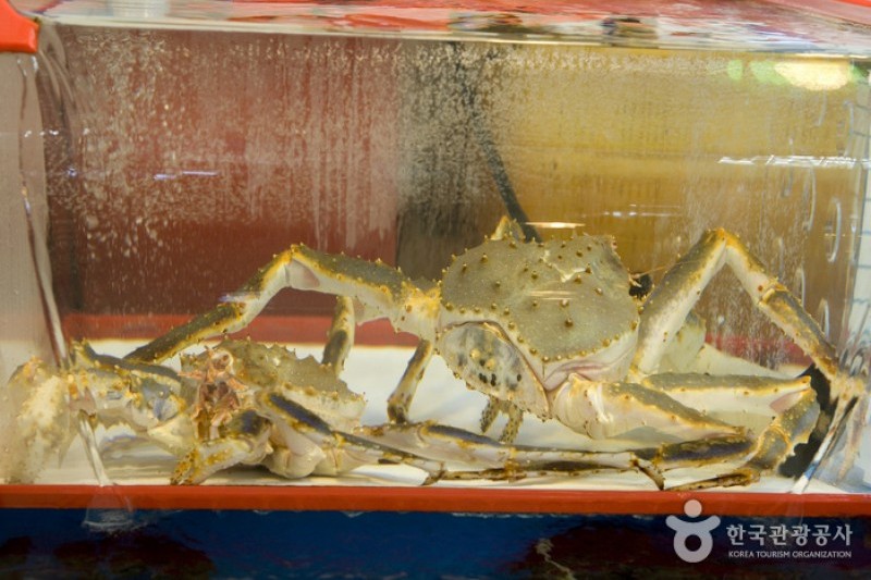 札嘎其市場活魚部 (7/8)