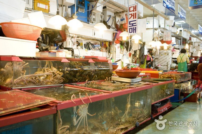 札嘎其市場活魚部 (8/8)