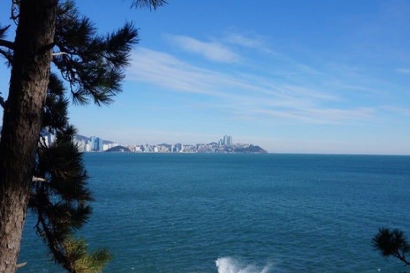二妓臺都市自然公園