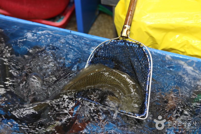 民樂生魚片城