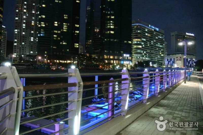 The Bay 101