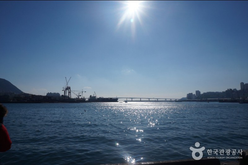 釜山札嘎其市場(부산 자갈치시장)