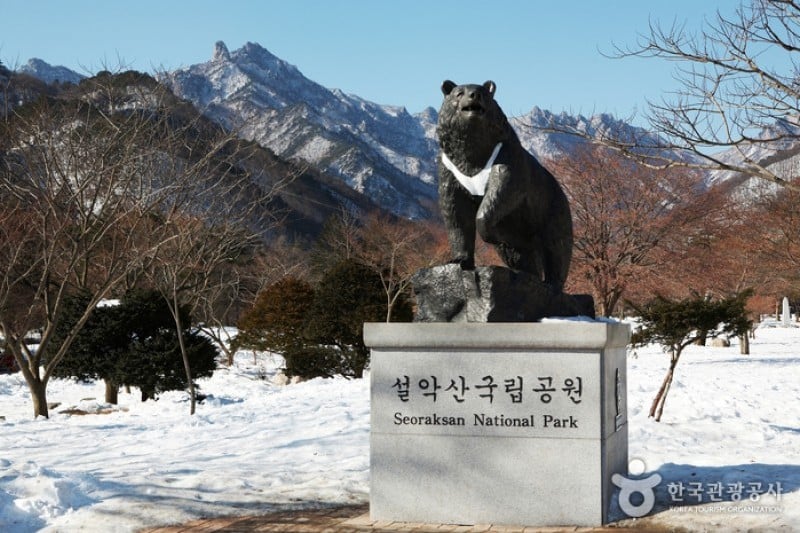 雪嶽山國立公園(外雪嶽) (5/12)