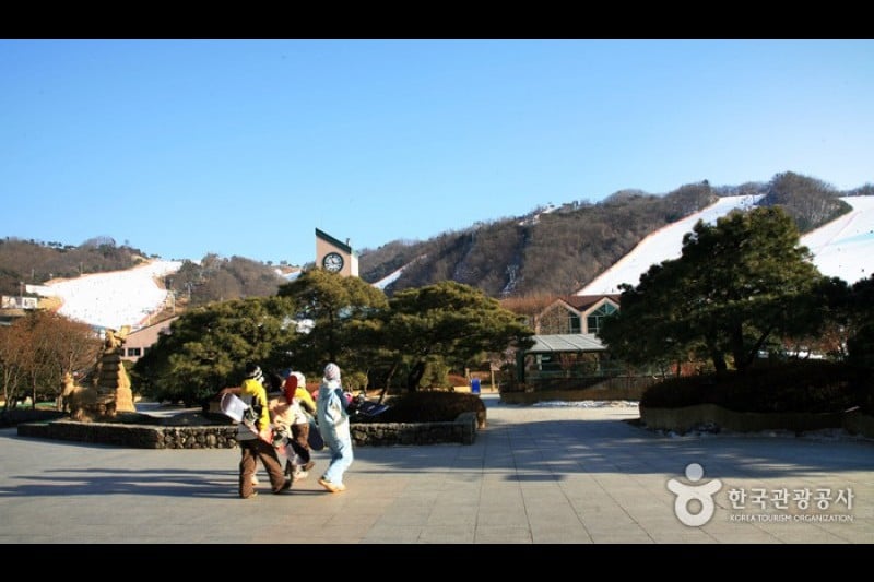 大明維瓦爾第公園滑雪世界 (8/20)