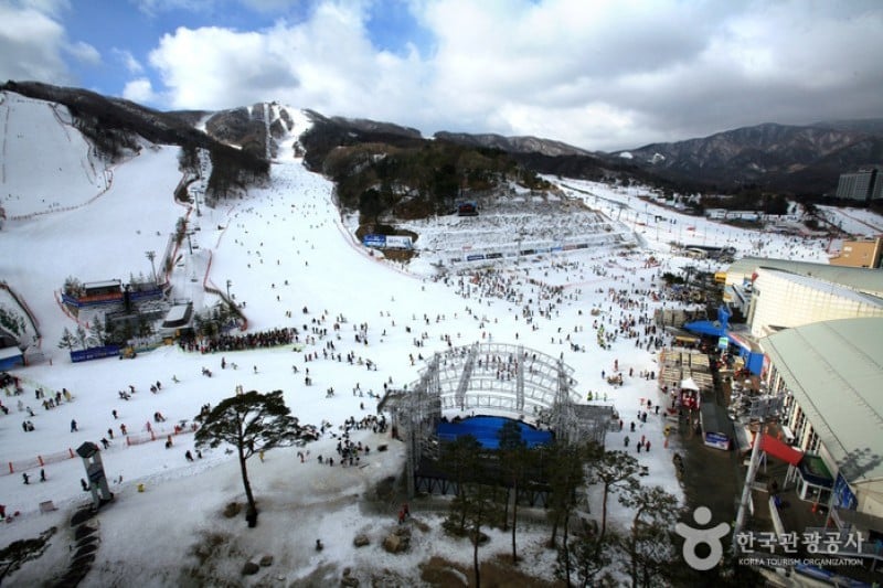 鳳凰城滑雪場 (7/21)