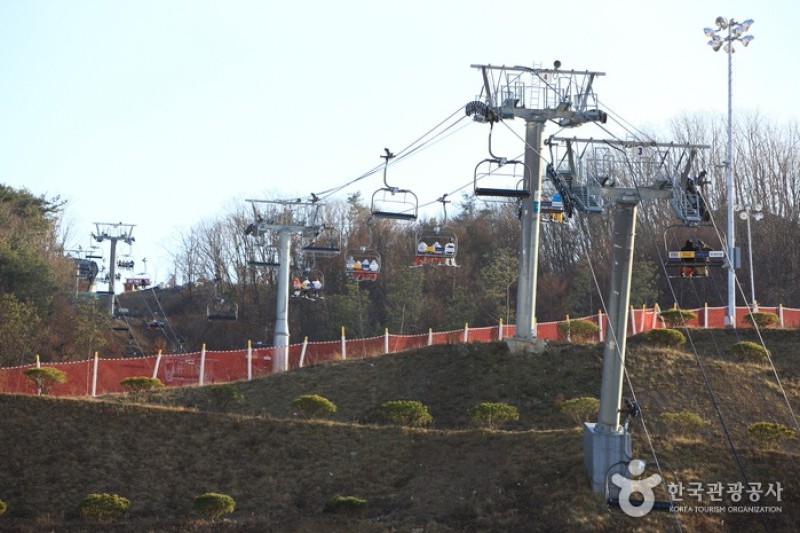 橡樹谷滑雪場 (10/14)