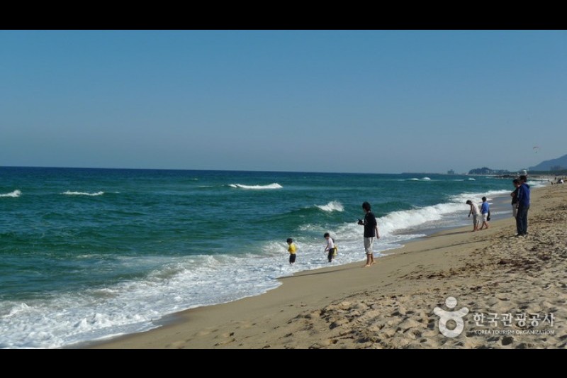 江陵鏡浦海邊