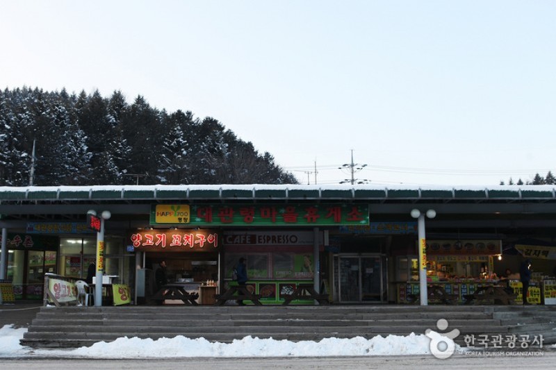 大關嶺群羊牧場 