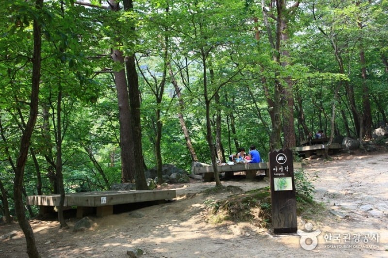 國立大關嶺自然休養林 (17/21)
