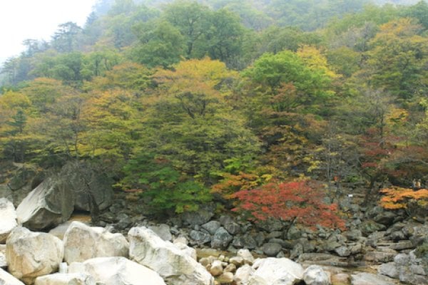 飛仙台