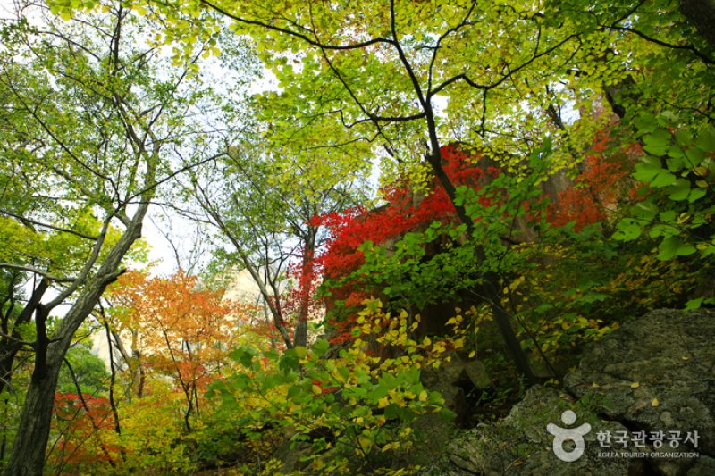 雪嶽山國立公園 (1/11)