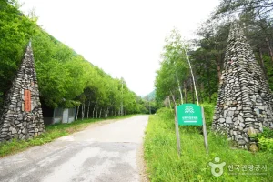 三峯自然休養林 