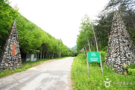 三峯自然休養林 