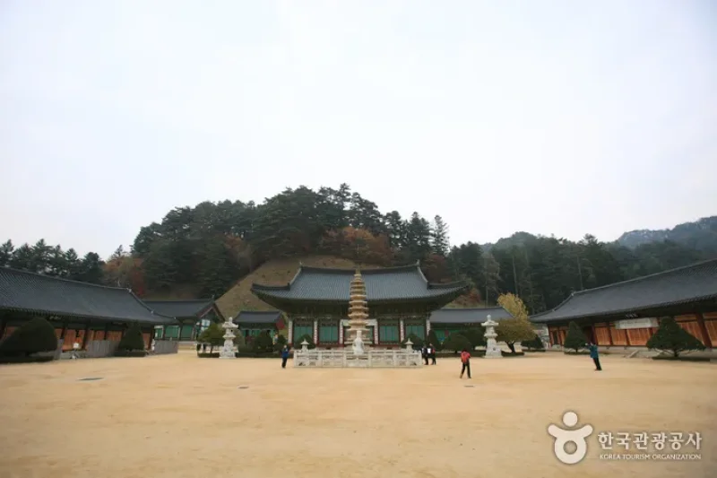 月精寺山寺體驗