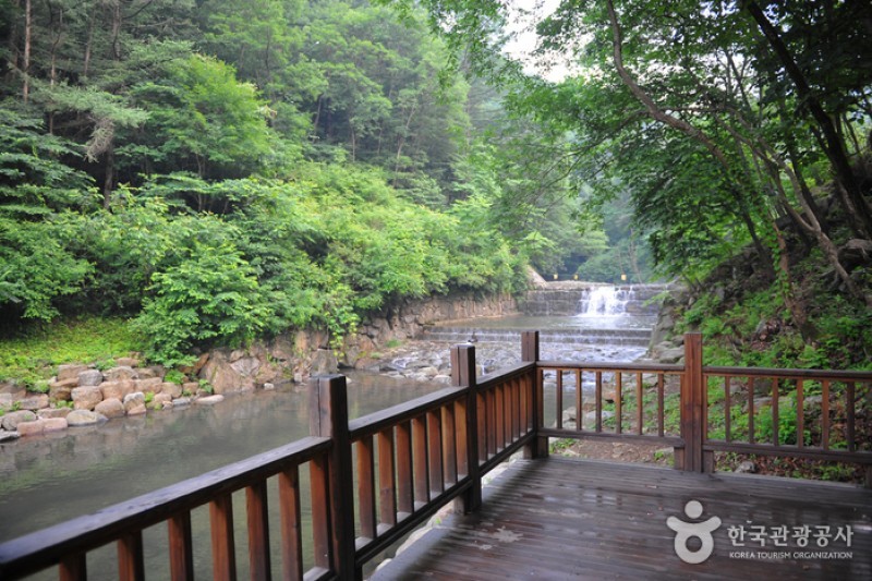 國立白雲山自然休養林 (1/3)