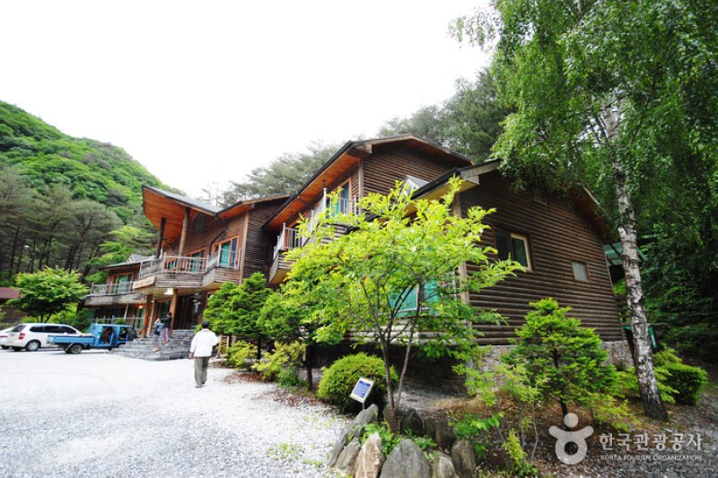 國立加里旺山自然休養林 (1/20)
