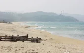 南涯海邊