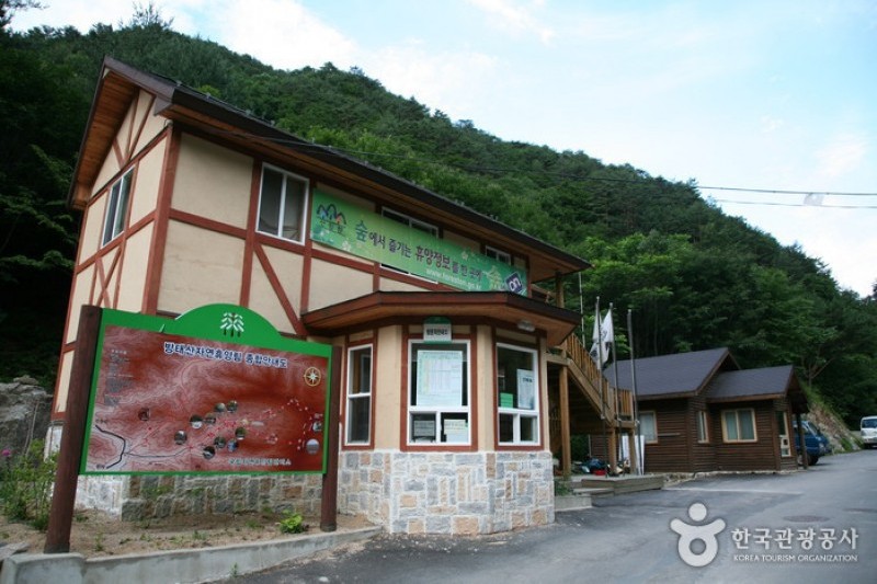 國立芳台山自然休養林  (5/23)