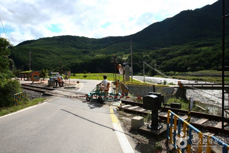 旌善AURAJI鐵路自行車 (7/14)