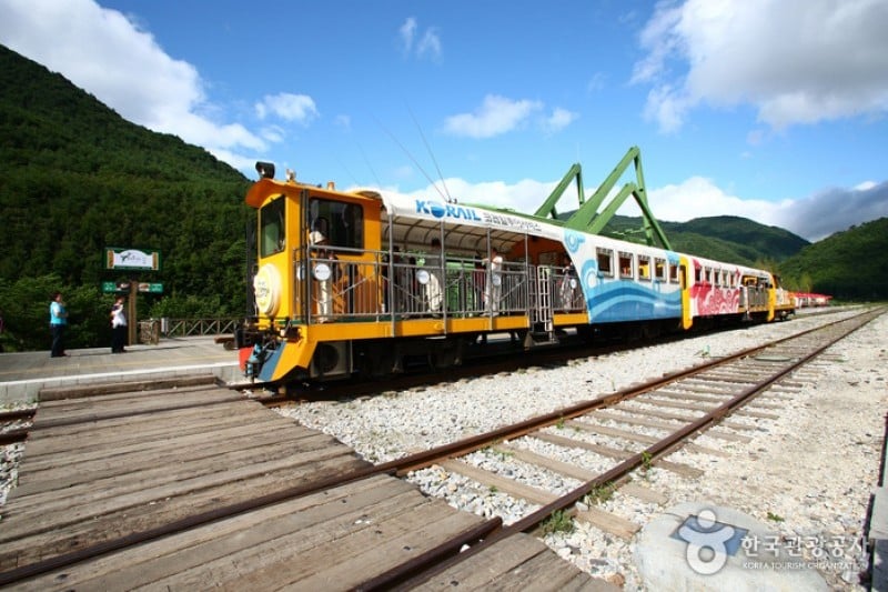 旌善AURAJI鐵路自行車 (10/14)
