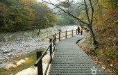五色鑄錢谷