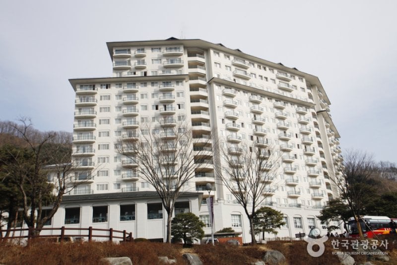 Elysian江村渡假村 (2/17)